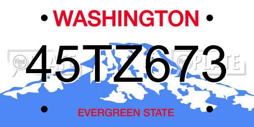 45TZ673 Washington License Plate