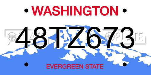 48TZ673 Washington License Plate