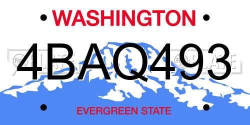 4BAQ493 Washington License Plate