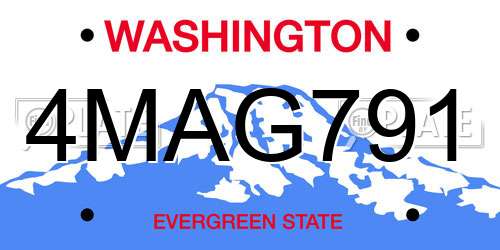 4MAG791 Washington License Plate