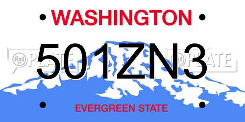 501ZN3 Washington License Plate