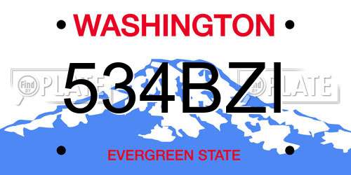 534BZI Washington License Plate