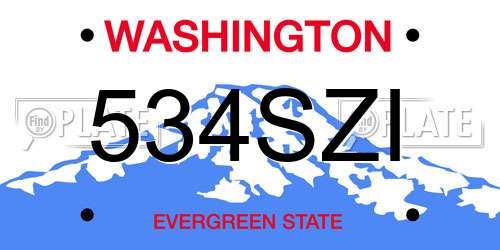534SZI Washington License Plate