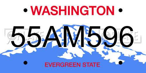 55AM596 Washington License Plate