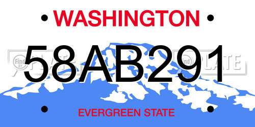 58AB291 Washington License Plate