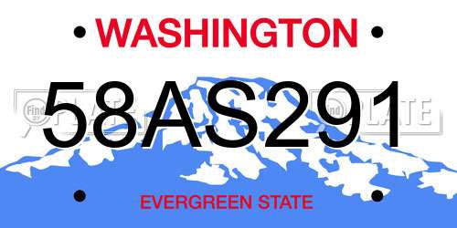 58AS291 Washington License Plate