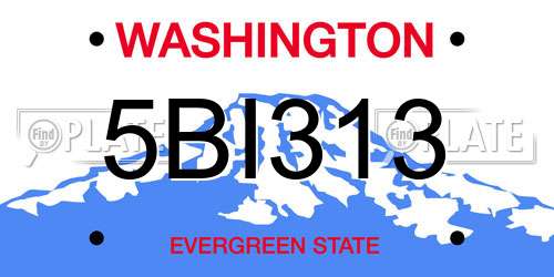 5BI313 Washington License Plate