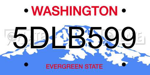 5DLB599 Washington License Plate