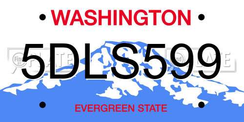 5DLS599 Washington License Plate