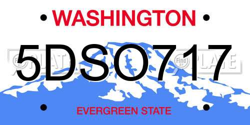 5DSO717 Washington License Plate