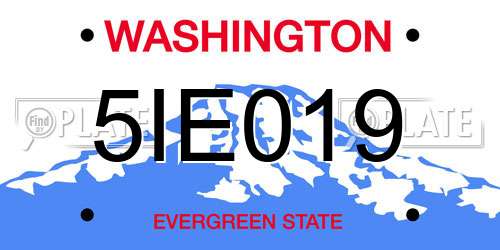 5IE019 Washington License Plate
