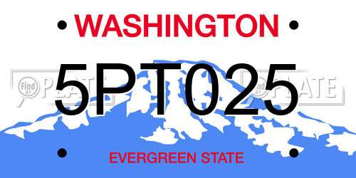 5PT025 Washington License Plate