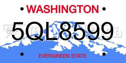 5QL8599 Washington License Plate