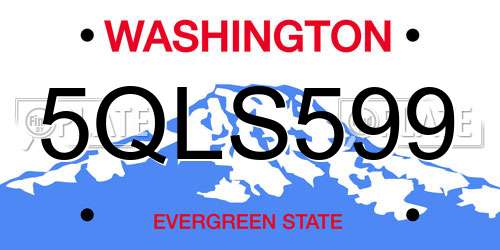 5QLS599 Washington License Plate