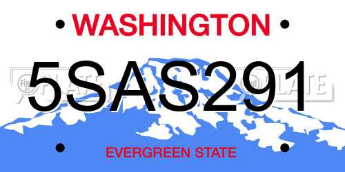 5SAS291 Washington License Plate
