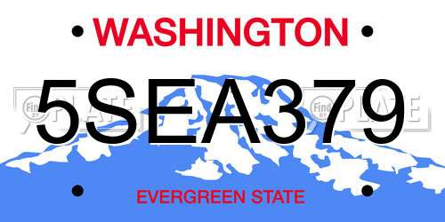 5SEA379 Washington License Plate