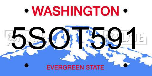 5SOT591 Washington License Plate