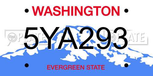 5YA293 Washington License Plate