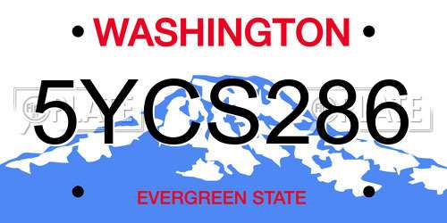 5YCS286 Washington License Plate
