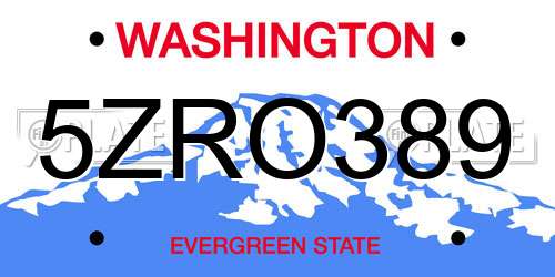 5ZRO389 Washington License Plate