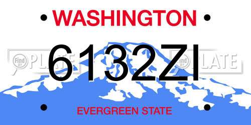 6132ZI Washington License Plate