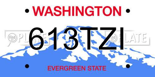 613TZI Washington License Plate