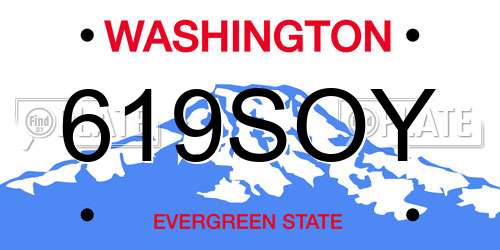 619SOY Washington License Plate
