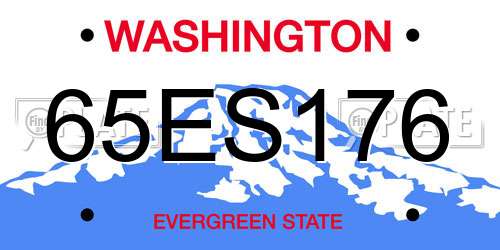 65ES176 Washington License Plate