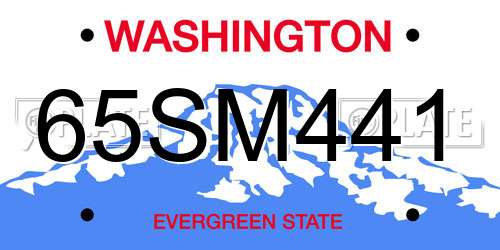65SM441 Washington License Plate