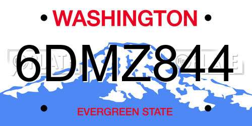 6DMZ844 Washington License Plate