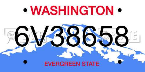 6V38658 Washington License Plate