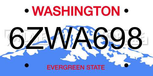 6ZWA698 Washington License Plate