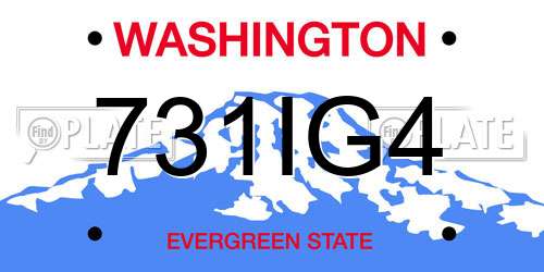 731IG4 Washington License Plate