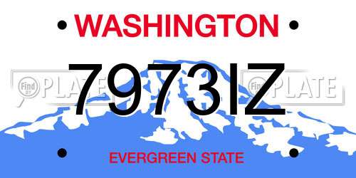 7973IZ Washington License Plate