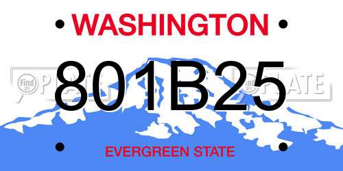 801B25 Washington License Plate