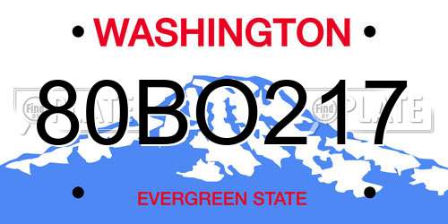 80BO217 Washington License Plate