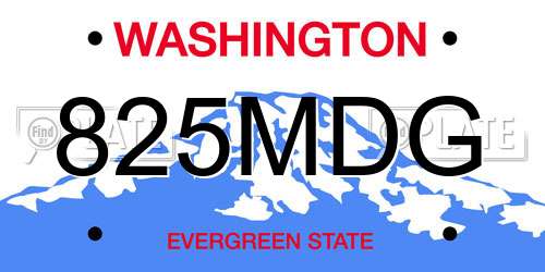 825MDG Washington License Plate