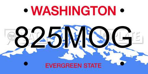 825MOG Washington License Plate