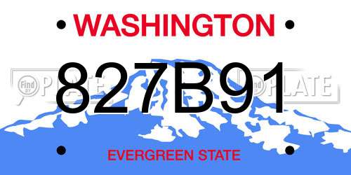 827B91 Washington License Plate