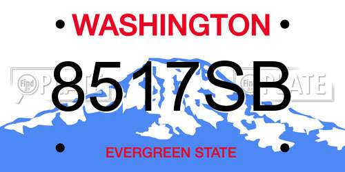 8517SB Washington License Plate