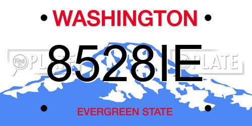 8528IE Washington License Plate