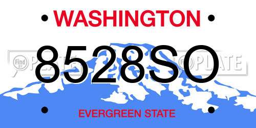8528SO Washington License Plate