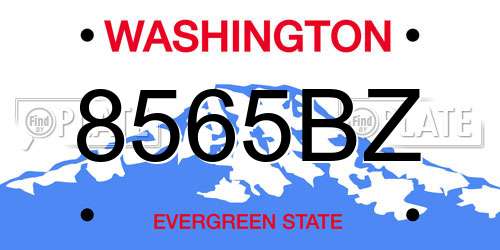 8565BZ Washington License Plate