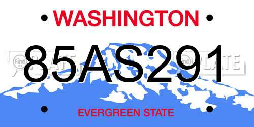 85AS291 Washington License Plate