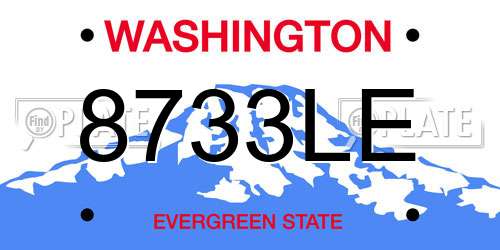 8733LE Washington License Plate