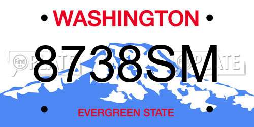 8738SM Washington License Plate