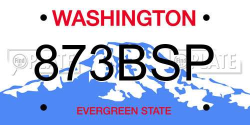 873BSP Washington License Plate