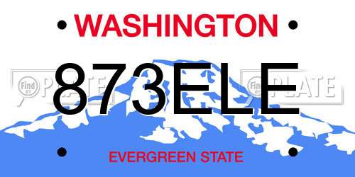 873ELE Washington License Plate