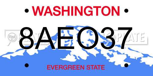 8AEO37 Washington License Plate