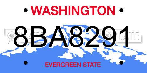8BA8291 Washington License Plate